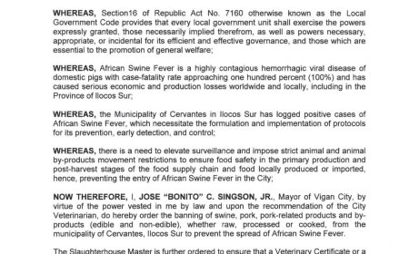 CITY EXECUTIVE ORDER NO. 43 SERIES OF 2023
