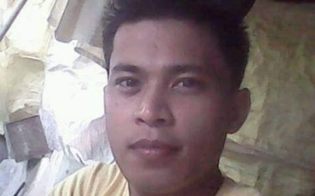 MISSING... MARK ELMER VIERNES