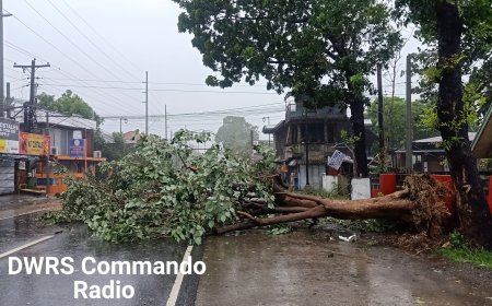 KITAEN| Saan a passable ti maysa a lane ti NHW sakopen ti San Clemente, Magsingal gapu ti natwang a puon ti gemelina.