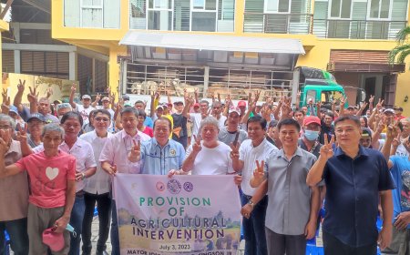 CATTLE BREEDERS AND FERTILIZERS NAIWARAS TI CIUDAD VIGAN