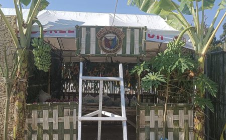 KITAEN| MAIKA 127TH PAPAYA FESTIVAL TI ILI A NAGGBUKEL NANGRUGIN