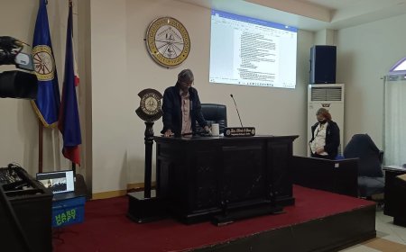 LOOK| Regular Session of the Eighth City Council